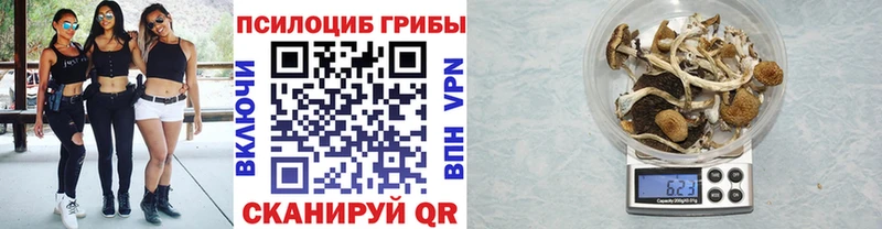 Галлюциногенные грибы мухоморы  Павловская 