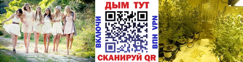 дарнет шоп  Павловская  Бошки марихуана Amnesia 